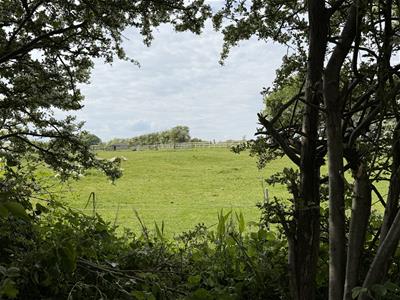 Picture 25